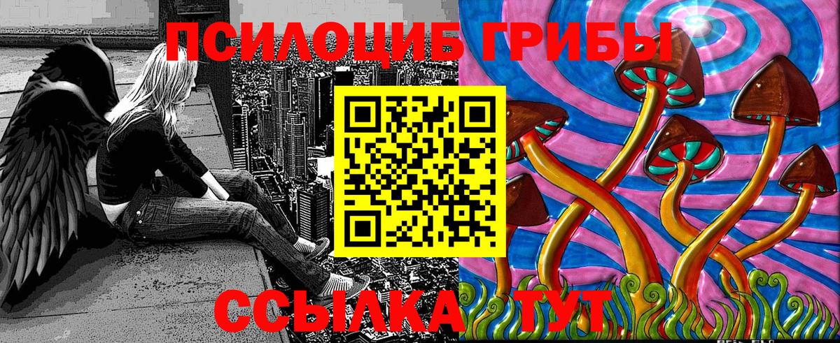 Грозный  Галлюциногенные грибы Cubensis  как найти закладки  Вход с VPN 