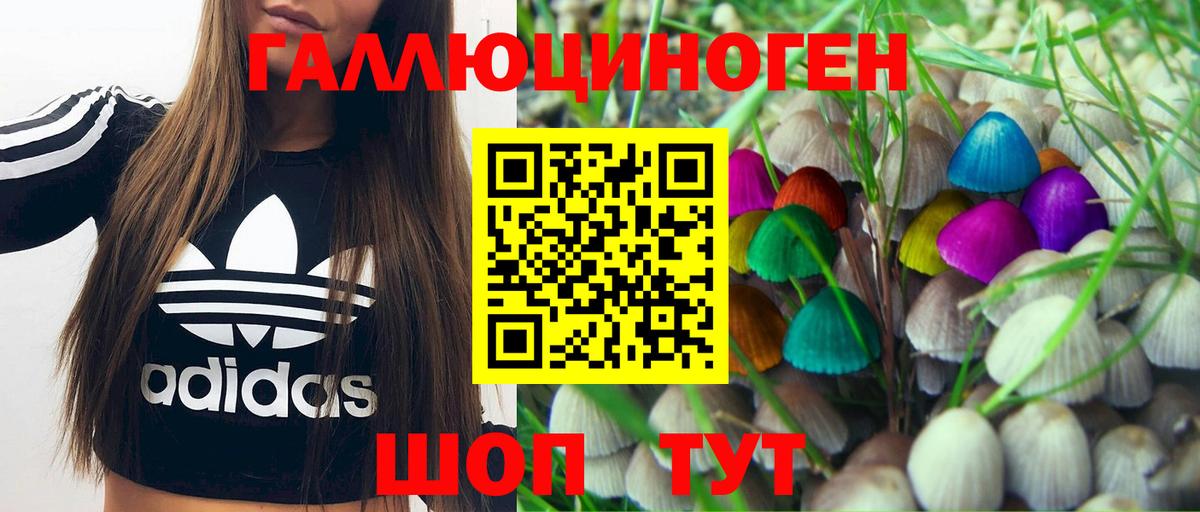 Галлюциногенные грибы ЛСД Грозный